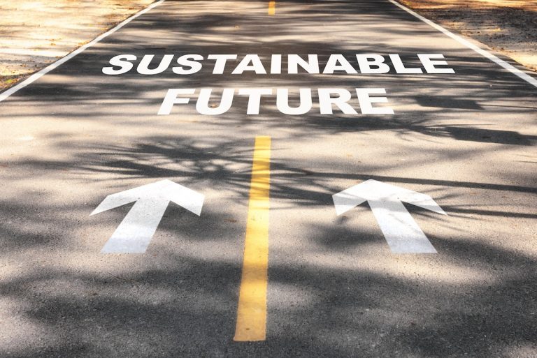 Social Learning and the Drive for Sustainability